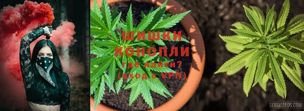 соль ск Беломорск