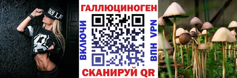 Галлюциногенные грибы MAGIC MUSHROOMS  Купить где  Мценск 