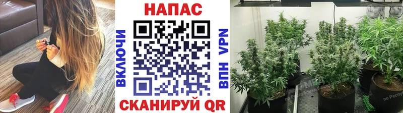 Шишки марихуана Bruce Banner Купить закладки Мценск